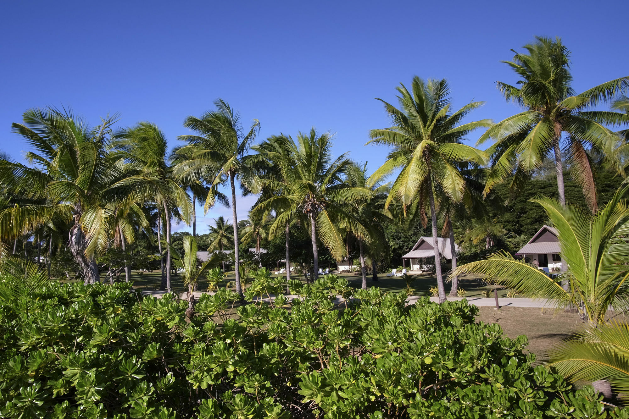 Malololailai Musket Cove Island Resort מראה חיצוני תמונה